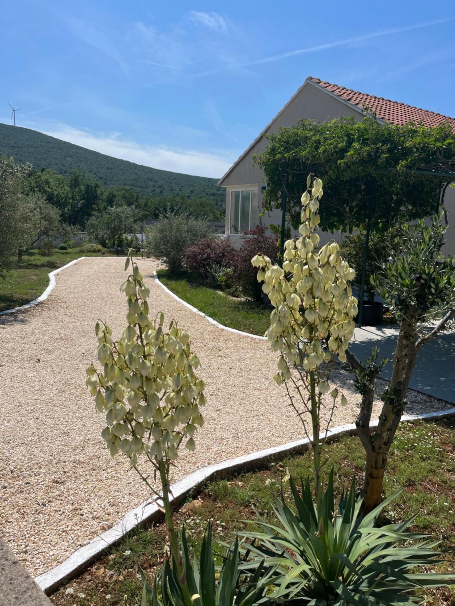 הוילה Gulin Mediterranean Olive Waterfallskrka-Croatia מראה חיצוני תמונה